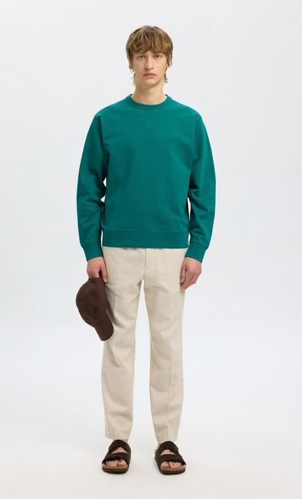 Actual product image Selected Homme 100% Baumwoll Sweatshirt (XL)
