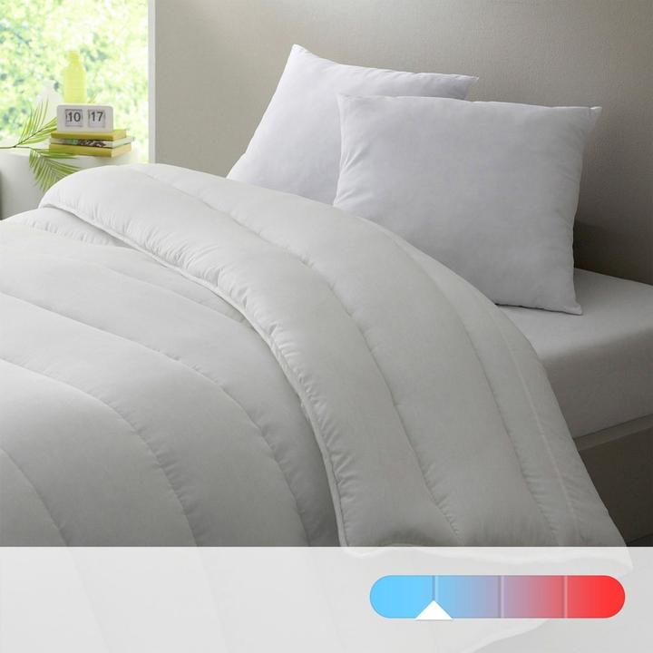 Actual product image La Redoute Interieurs Couette (240 x 220 cm)