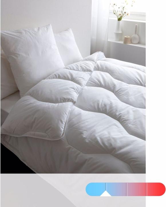 Produktbild La Redoute Interieurs Couette Synthetique (240 x 220 cm)