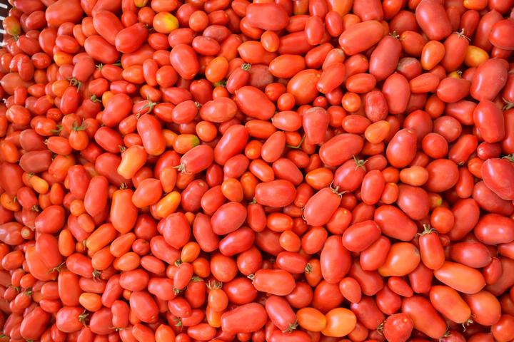 Immagine prodotto Living Seeds Pomodoro, Roma VF (Semi di verdura)