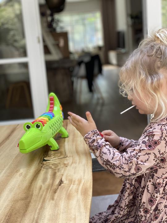 Actual product image Fisher-Price Crocodile Xylophone