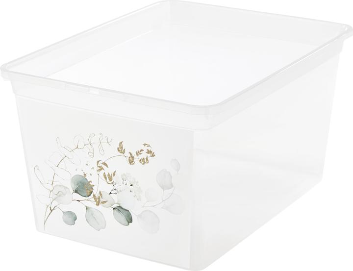 Image du produit Lipo Eucalyptus doré (38,5 x 20 x 28,5 cm, 15 l)