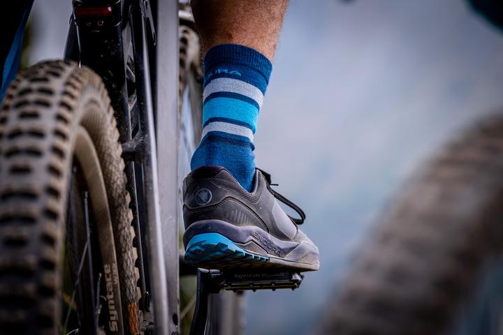 Immagine prodotto Endura BaaBaa Merino Stripe Socks (M/L)