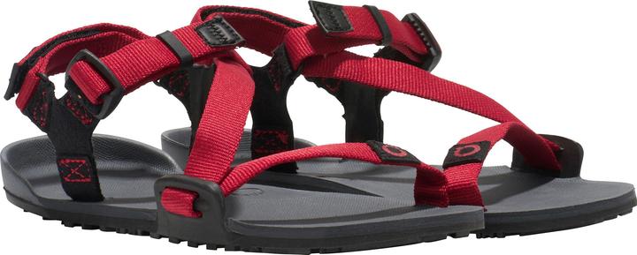 Actual product image Xero Shoes Z-Trail (30)