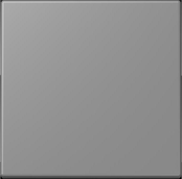 Actual product image JUNG Control button