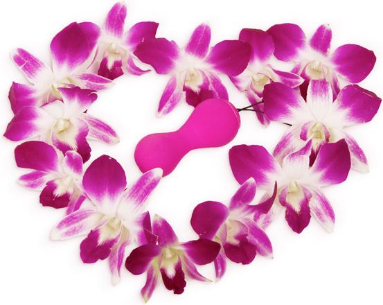 Immagine prodotto Gvibe Gballs 2 Petal Rose
