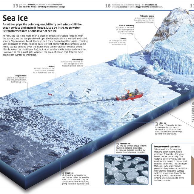 Image du produit Knowledge Encyclopedia Ocean! (Anglais, Collectif, 2020)