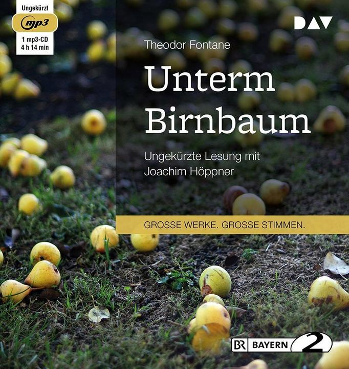 Produktbild Unterm Birnbaum (Theodor Fontane, Deutsch)