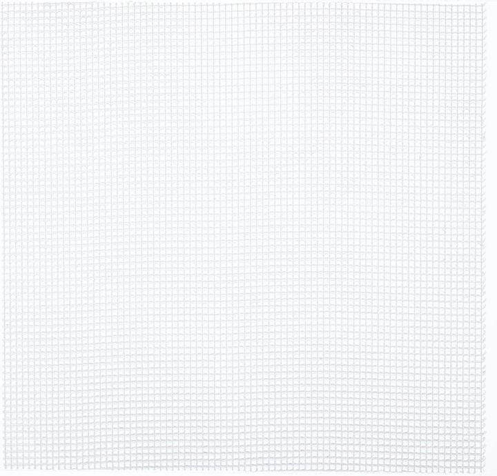 Actual product image Lohmann & Rauscher Pro (10 x)