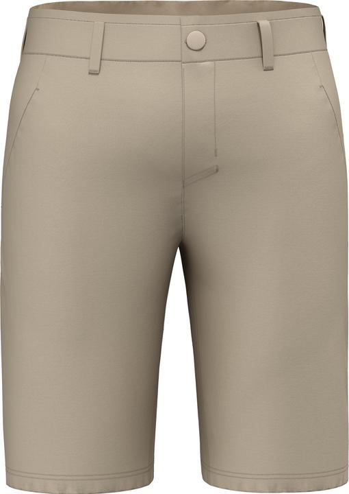 Salewa Fanes Light Shorts