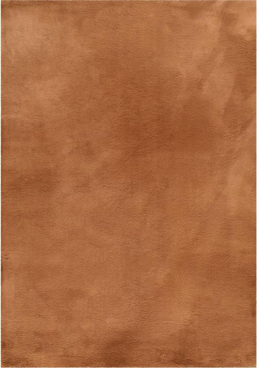 Produktbild Esprit Teppich Alice (120 x 170 cm)