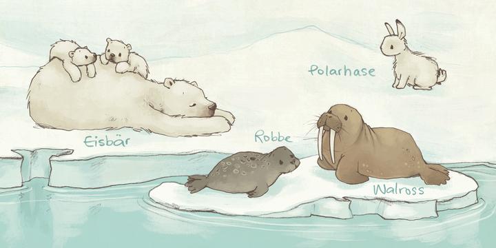 Produktbild Die winzige Mini-Bibliothek der Tiere - 6 Mini-Pappbilderbücher im Schuber (Die grosse (Deutsch)