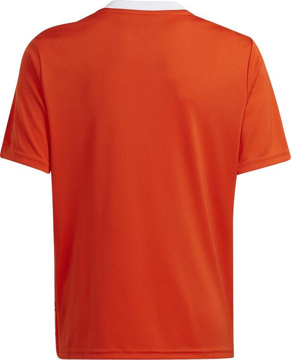 Image du produit adidas Team Icon 23 Maillot (116)