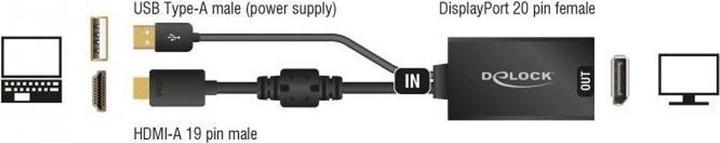 Actual product image Delock HDMI zu (DP, 24.50 cm)