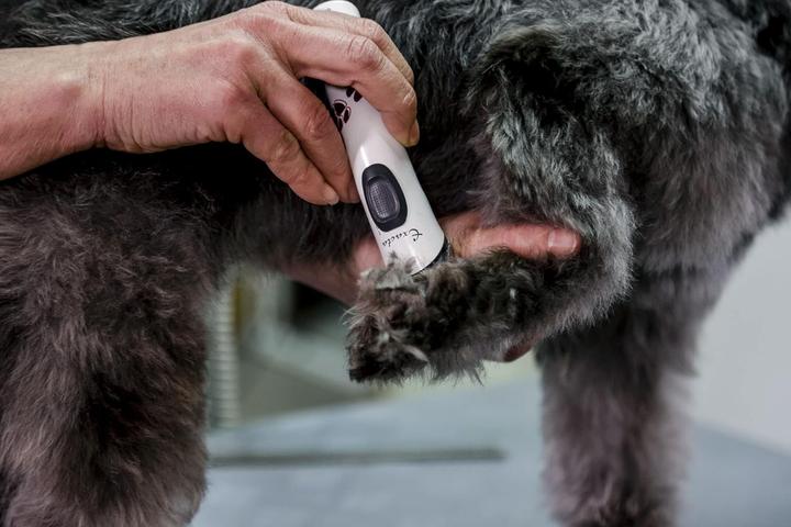 Actual product image Aesculap Battery clipper Exacta (Dog)