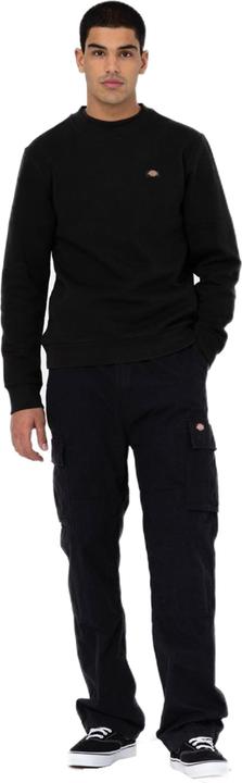 Actual product image Dickies Eagle Bend (33)
