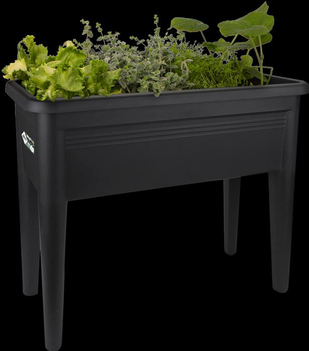 Actual product image Elho Green Basics XXL