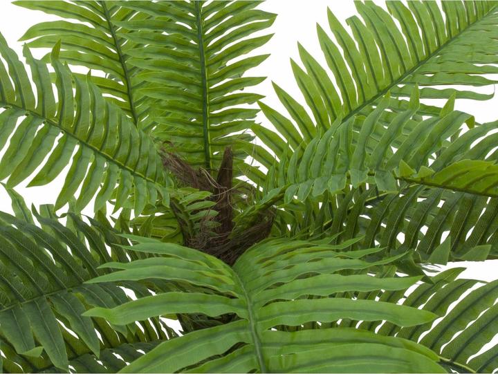 Produktbild Europalms Cycas Palme, Kunstpflanze, 70cm (70 cm)