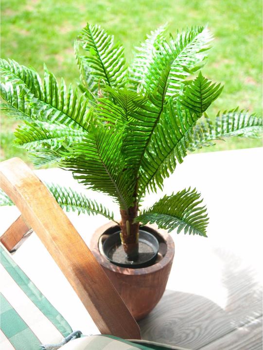 Produktbild Europalms Cycas Palme, Kunstpflanze, 70cm (70 cm)