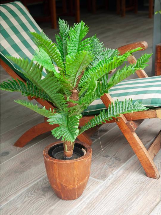 Produktbild Europalms Cycas Palme, Kunstpflanze, 70cm (70 cm)