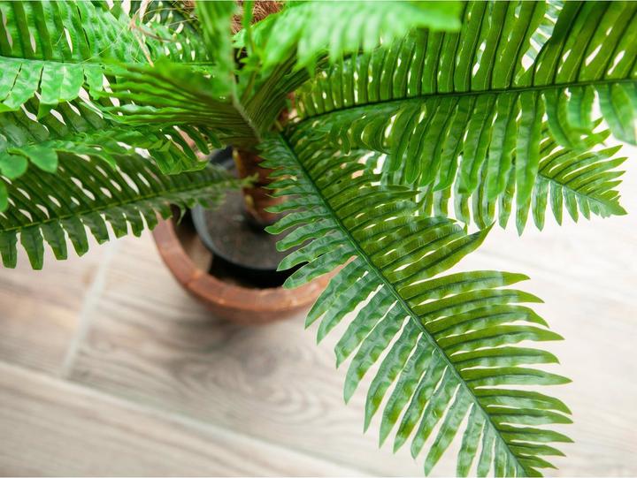 Produktbild Europalms Cycas Palme, Kunstpflanze, 70cm (70 cm)