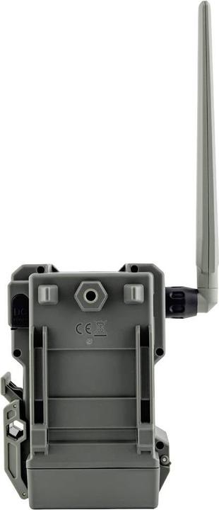 Actual product image Spypoint FLEX-PLUS wildlife camera 36 megapixel sound recording, GSM module, 4G image transmission