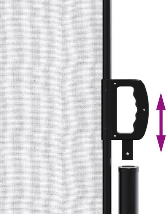 Actual product image VidaXL Extendable side awning (6 m)