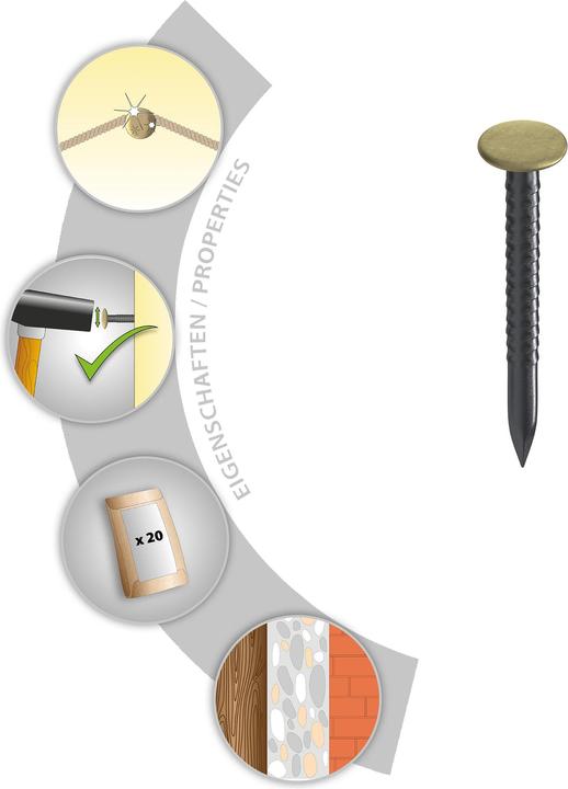 Productafbeelding Tox Schilderijennagel Home Classic met kop van messing 2,0 x 20 mm (20 Stuk, 20 mm)