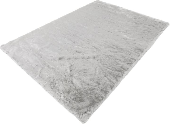 Silber 004