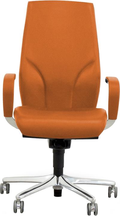 Actual product image Giroflex 64-9278