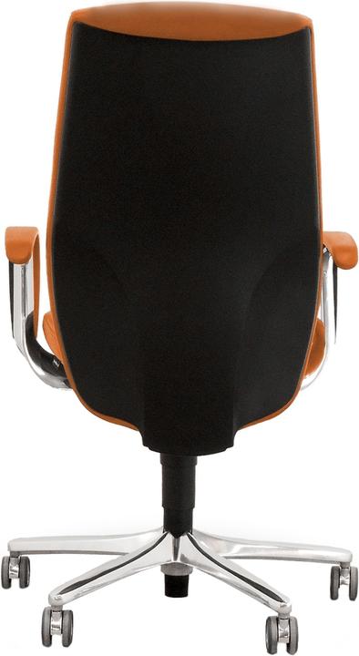 Actual product image Giroflex 64-9278