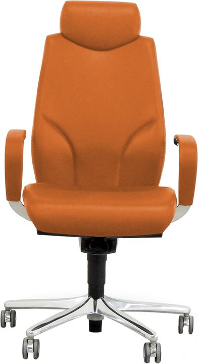 Image du produit Giroflex 64-9778