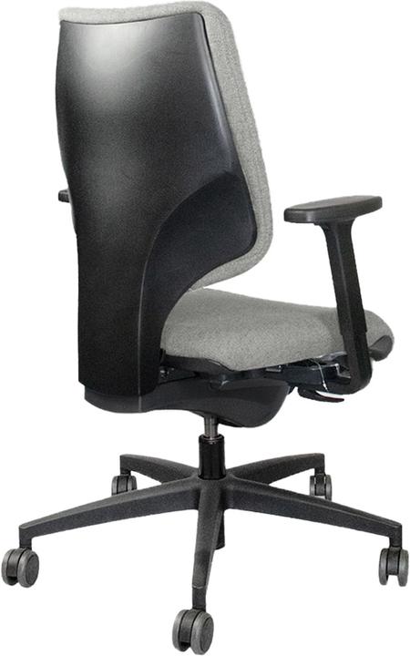 Immagine prodotto Giroflex 545-4529