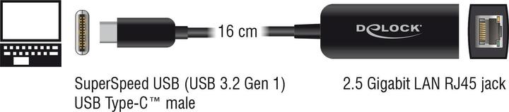 Image du produit Delock USB C – RJ45 (USB-C 3.2 Gen 1, RJ45 2.5 Gigabit Ethernet (1x))