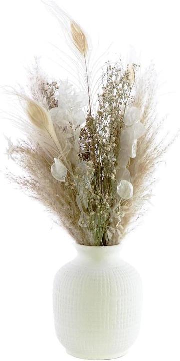 Actual product image Soli Collection Dried flowers Gyps (Dried flowers)