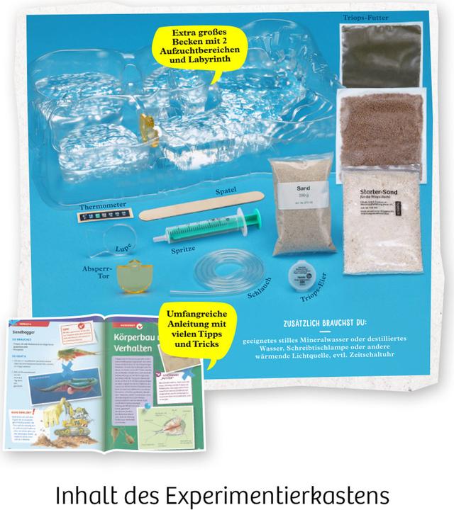 Actual product image Kosmos Triops World