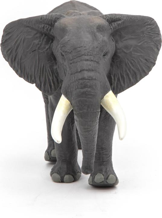 Produktbild Papo Afrikanischer Elefant
