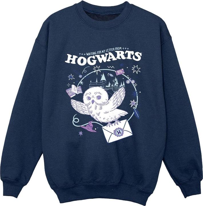 Actual product image Boys Owl Letter From Hogwarts Sweatshirt (140, 146)