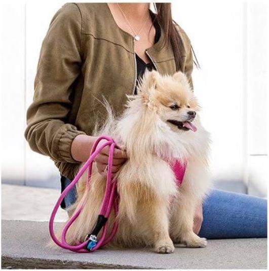 Produktbild Curli Stretch Comfort Leine (M, Hund)