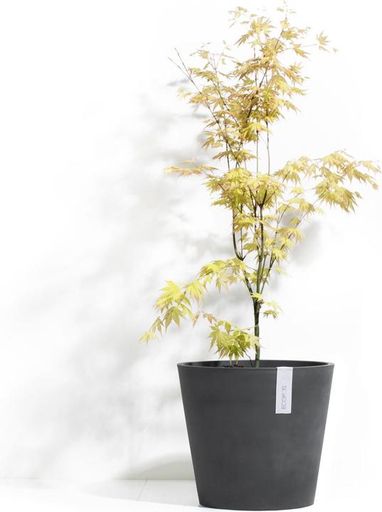 Produktbild Ecopots Amsterdam Wheels (80 cm)
