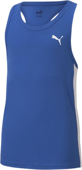 teampowerbluepumawhite