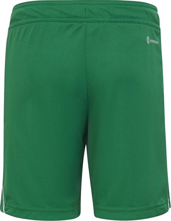 Actual product image adidas Tiro 23 training shorts kids (176)