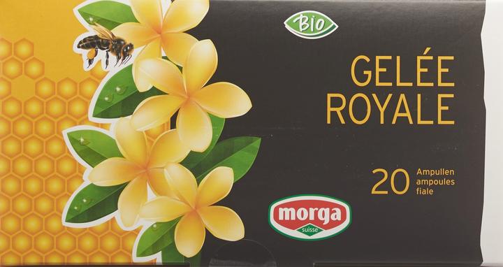 Produktbild Morga Gelée Royale Trinkamp 1500 mg Bio (1 Stück, Ampulle, 394 g)