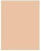 Immagine prodotto BeneFit Cosmetics Boi-ing Cakeless (4 Luce Fresco)