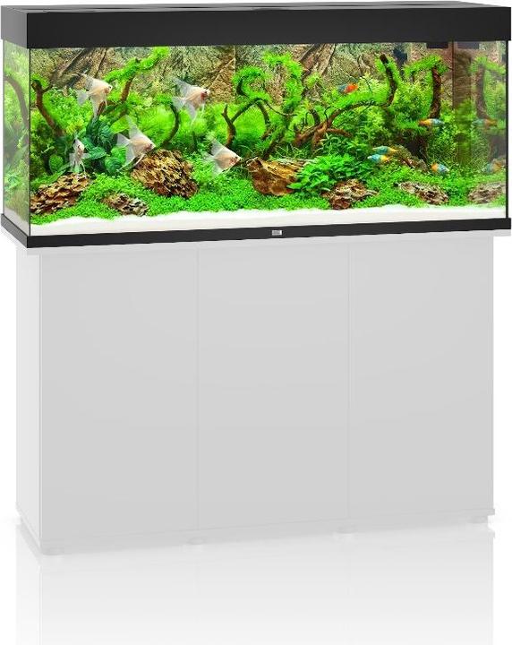 Image du produit Juwel Aquarium Rio (240 l)