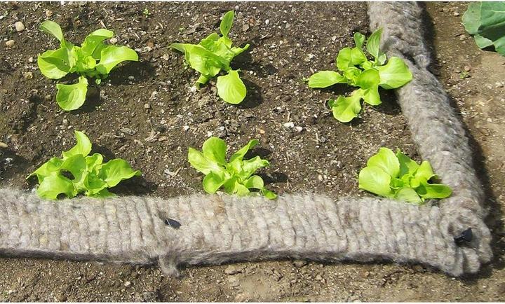 Produktbild Windhager Schneckenfalle (500 cm)