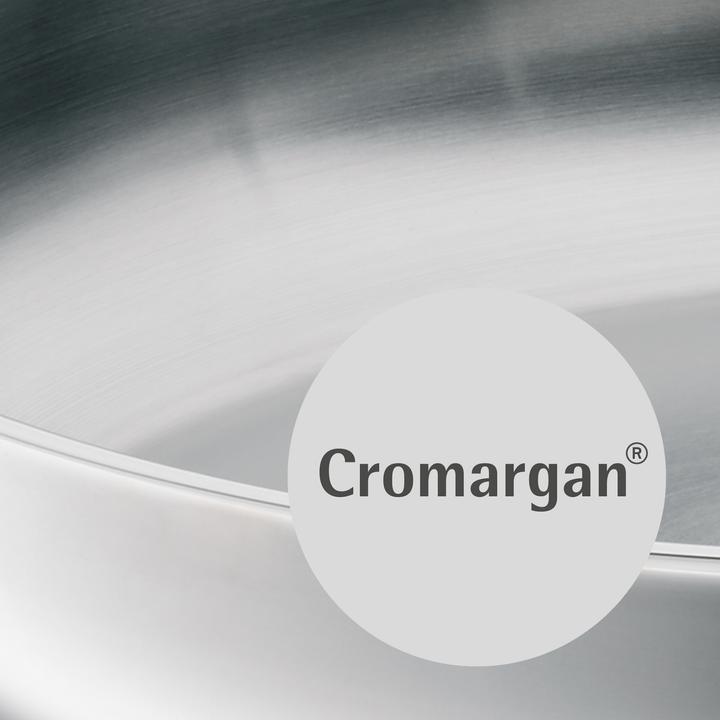 Image du produit WMF Poêle en acier inoxydable Poêle à frire 24cm Poêle à induction Profi sans revêtement (24 cm, Poêle à frire, Acier inoxydable)