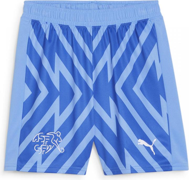 Actual product image Puma SFV GK Shorts Replica Jr (152)