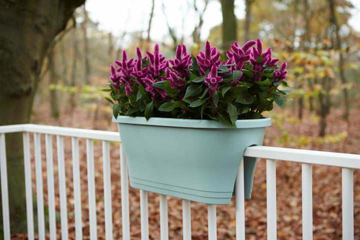 Produktbild Elho Corsica (30 cm)