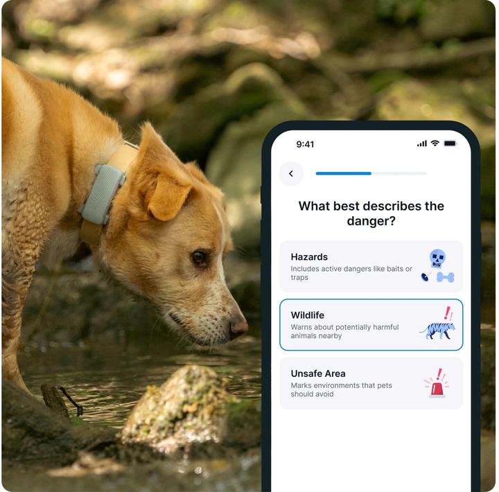 Produktbild Tractive GPS Tracker Dog 6 (Hund)
